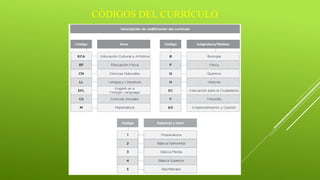 CÓDIGOS DEL CURRÍCULO
 