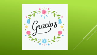 Curriculo educacion fisica