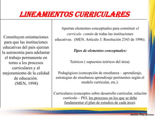 LINEAMIENTOS CURRICULARES 
Constituyen orientaciones 
para que las instituciones 
educativas del país ejerzan 
la autonomía para adelantar 
el trabajo permanente en 
torno a los procesos 
curriculares y al 
mejoramiento de la calidad 
de educación. 
(MEN, 1998) 
Aportan elementos conceptuales para constituir el 
currículo común de todas las instituciones 
educativas. (MEN. Artículo 3. Resolución 2343 de 1996). 
Tipos de elementos conceptuales: 
Teóricos ( supuestos teóricos del área). 
Pedagógicos (concepción de enseñanza – aprendizaje, 
estrategias de enseñanza aprendizaje pertinentes según el 
modelo curricular, etc.). 
Curriculares (conceptos sobre desarrollo curricular, relación 
currículo – PEI, los procesos en los que se debe 
fundamentar el plan de estudios de cada área). 
Análida Pérez Cardona 
 