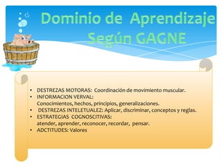 • DESTREZAS MOTORAS: Coordinación de movimiento muscular.
• INFORMACION VERVAL:
  Conocimientos, hechos, principios, generalizaciones.
• DESTREZAS INTELETUALEZ: Aplicar, discriminar, conceptos y reglas.
• ESTRATEGIAS COGNOSCITIVAS:
  atender, aprender, reconocer, recordar, pensar.
• ADCTITUDES: Valores
 