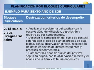 PLANIFICACIÓN POR BLOQUES CURRICULARES
EJEMPLO PARA SEXTO AÑO DE EGB
Bloques
Curriculares
Destreza con criterios de desempeño
2. El suelo
y sus
irregularid
ades
• Analizar el ecosistema del pastizal con la
observación, identificación, descripción y
registro de sus componentes.
• Describir la composición del suelo de pastizal
con relación al tipo de plantas propias de este
bioma, con la observación directa, recolección
de datos en textos de diferentes fuentes y
procesos experimentales.
• Comparar los tipos de suelos del pastizal
según su origen, con la observación directa y el
análisis de la flora y la fauna endémicas.
•
 