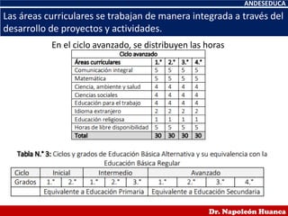 ANDESEDUCA
Dr. Napoleón Huanca
En el ciclo avanzado, se distribuyen las horas
Las áreas curriculares se trabajan de manera integrada a través del
desarrollo de proyectos y actividades.
 