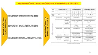 16
ORGANIZACIÓN DE LA EDUCACIÓN BÁSICA Y SUS PLANES DE ESTUDIOS
ORGANIZACIÓN
DE
LA
EDUCACIÓN
BÁSICA
ORGANIZACIÓN
DE
LOS
PLANES
DE
ESTUDIOS
EDUCACIÓN BÁSICA ESPECIAL (EBE)
EDUCACIÓN BÁSICA ALTERNATIVA (EBA)
EDUCACIÓN BÁSICA REGULAR (EBR)
 
