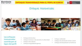 6
ENFOQUES TRANSVERSALES PARA EL PERFIL DE EGRESO
 