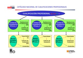Capacidades
(C)
Criterios de
Evaluación
(CE)
Contenidos
Módulo
formativo
MFxxxx_3
Capacidades
Criterios de
Evaluación
Contenidos
Capacidades
Criterios de
Evaluación
Contenidos
Módulo
formativo
MFyyyy_3
Módulo
formativo
MFzzzz_3
Realizaciones
Profesionales
(RP)
Criterios de
Realización
(CR)
Unidad de
Competencia
UCxxxx_3
Realizaciones
Profesionales
(RP)
Criterios de
Realización
(CR)
Unidad de
Competencia
UCyyyy_3
Realizaciones
Profesionales
(RP)
Criterios de
Realización
(CR)
Unidad de
Competencia
UCzzzz_3
CATÁLOGO NACIONAL DE CUALIFICACIONES PROFESIONALES
CUALIFICACIÓN PROFESIONAL (Ej: QUI117-3)
 