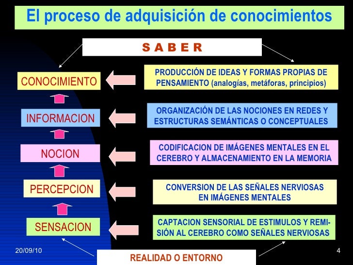 Curriculos por capacidades video