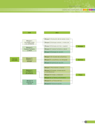CIENCIAS NATURALES
107
Introducción
EGB
Bloque 1:
Los seres vivos
y su ambiente
Bloque 2:
Cuerpo humano
y salud
Bloque 4:
La Tierra y
el Universo
Bloque 5:
Ciencia en
acción
Bloque 3:
Materia y
energía
BGU
Bloque 1: Evolución de los seres vivos
Bloque 1: Movimiento y fuerza
Bloque 1: El mundo de la Química
Bloque 2: Biología celular y molecular
Bloque 2: Energía, conservación
y transferencia
Bloque 2: La química y su lenguaje
Bloque 3: Biología animal y vegetal
Bloque 3: Ondas y radiación
Bloque 3: Química en acción
Bloque 4: Cuerpo humano y salud
Bloque 4: La Tierra y el Universo
Bloque 5: Biología en acción
Bloque 5: La Física de hoy
Bloque 6: Física en acción
Biología
Química
Ciencias
Naturales
Física
 