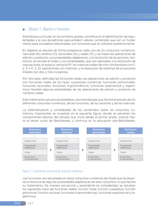 MAT I 224
Bloque 1. Álgebra y funciones
Este bloque curricular, en los primeros grados, se enfoca en la identificación de regu-
laridades y el uso de patrones para predecir valores; contenidos que son un funda-
mento para conceptos relacionados con funciones que se utilizarán posteriormente.
En álgebra se estudia de forma progresiva cada uno de los conjuntos numéricos:
naturales (N), enteros (Z), racionales (Q) y reales (R); y se tratan las operaciones de
adición y producto, sus propiedades algebraicas, y la resolución de ecuaciones. Asi-
mismo, se estudia el orden y sus propiedades, que son aplicadas a la resolución de
inecuaciones; el espacio vectorial R2
; las matrices reales de mxn (limitándose a m=1,
2, 3; n=1, 2, 3); operaciones con matrices, y la resolución de sistemas de ecuaciones
lineales con dos y tres incógnitas.
Por otro lado, definidas las funciones reales, las operaciones de adición y producto
con funciones reales de los tipos: sucesiones numéricas, funciones polinomiales,
funciones racionales, funciones trigonométricas, funciones exponencial y logarít-
mica, heredan algunas propiedades de las operaciones de adición y producto de
números reales.
Este tratamiento secuencial establece una metodología que facilita el estudio de los
diferentes conjuntos numéricos, de las funciones, de los vectores y de las matrices.
La sistematización y complejidad de los contenidos sobre los conjuntos nu-
méricos importantes se muestran en la siguiente figura, donde se advierten los
componentes básicos del estudio que inicia desde el primer grado, avanza has-
ta el tercer curso de Bachillerato, y continúa en la educación pos-Bachillerato.
Operaciones
Propiedades
algebraicas
Orden
Ecuaciones
e inecuaciones
Números
naturales
Operaciones
Propiedades
algebraicas
Orden
Ecuaciones
e inecuaciones
Números
enteros
Operaciones
Propiedades
algebraicas
Orden
Ecuaciones
e inecuaciones
Números
racionales
Operaciones
Propiedades
algebraicas
Orden
Ecuaciones
e inecuaciones
Números
reales
Figura 1. Tratamiento secuencial de conjuntos numéricos
Las funciones son estudiadas en estos conjuntos numéricos de modo que se obser-
ve la herencia de algunas propiedades algebraicas de esos conjuntos, lo que facilita
su tratamiento. De manera secuencial y ascendente en complejidad, se estudian
los siguientes tipos de funciones reales: función lineal, función cuadrática, función
polinomial, función racional, funciones trigonométricas, funciones exponencial y lo-
garítmica.
 