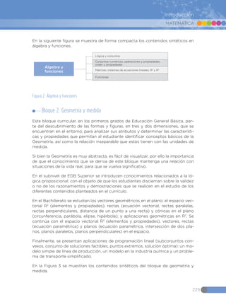 MATEMÁTICA
225
Introducción
En la siguiente figura se muestra de forma compacta los contenidos sintéticos en
álgebra y funciones.
Álgebra y
funciones
Lógica y conjuntos
Conjuntos numéricos, operaciones y propiedades,
orden y propiedades
Matrices, sistemas de ecuaciones lineales, R2
y R3
Funciones
Figura 2. Álgebra y funciones
Bloque 2. Geometría y medida
Este bloque curricular, en los primeros grados de Educación General Básica, par-
te del descubrimiento de las formas y figuras, en tres y dos dimensiones, que se
encuentran en el entorno, para analizar sus atributos y determinar las característi-
cas y propiedades que permitan al estudiante identificar conceptos básicos de la
Geometría, así como la relación inseparable que estos tienen con las unidades de
medida.
Si bien la Geometría es muy abstracta, es fácil de visualizar, por ello la importancia
de que el conocimiento que se deriva de este bloque mantenga una relación con
situaciones de la vida real, para que se vuelva significativo.
En el subnivel de EGB Superior se introducen conocimientos relacionados a la ló-
gica proposicional, con el objeto de que los estudiantes disciernan sobre la validez
o no de los razonamientos y demostraciones que se realicen en el estudio de los
diferentes contenidos planteados en el currículo.
En el Bachillerato se estudian los vectores geométricos en el plano; el espacio vec-
torial R2
(elementos y propiedades); rectas (ecuación vectorial, rectas paralelas,
rectas perpendiculares, distancia de un punto a una recta) y cónicas en el plano
(circunferencia, parábola, elipse, hipérbola); y aplicaciones geométricas en R2
. Se
continúa con el espacio vectorial R3
(elementos y propiedades), vectores, rectas
(ecuación paramétrica) y planos (ecuación paramétrica, intersección de dos pla-
nos, planos paralelos, planos perpendiculares) en el espacio.
Finalmente, se presentan aplicaciones de programación lineal (subconjuntos con-
vexos, conjunto de soluciones factibles, puntos extremos, solución óptima): un mo-
delo simple de línea de producción, un modelo en la industria química y un proble-
ma de transporte simplificado.
En la Figura 3 se muestran los contenidos sintéticos del bloque de geometría y
medida.
 
