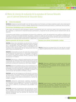 CIENCIAS NATURALES
437
Educación General Básica Elemental
4. Matriz de criterios de evaluación de la asignatura de Ciencias Naturales
para el subnivel Elemental de Educación Básica
Criterio de evaluación
CE.CN.2.1. Analiza la importancia del ciclo vital de los seres vivos (humanos, animales y plantas) a partir de la observación
y/o experimentación de sus cambios y etapas, destacando la importancia de la polinización y dispersión de las semillas.
Orientaciones metodológicas para la evaluación del criterio
Este criterio de evaluación está orientado a valorar la comprensión del ciclo vital de los seres vivos (ser humano, anima-
les y plantas) y a reconocer la importancia de la polinización y dispersión de las semillas para el mantenimiento de las
especies.
El docente puede trabajar con estrategias de observación indirectas, a partir de representaciones gráficas analógicas y/o
digitales, con las que se pueda distinguir las etapas y cambios en cada uno de los seres y se pueda hacer comparaciones
entre estos; además, se sugiere hacer pequeños experimentos como la germinación de las semillas, para que los estudian-
tes definan la importancia de la polinización y desarrollen su curiosidad científica.
Objetivos generales del área que se evalúan Destrezas con criterios de desempeño a evaluar
OG.CN.1. Desarrollar habilidades de pensamiento científico
con el fin de lograr flexibilidad intelectual, espíritu indaga-
dor y pensamiento crítico; demostrar curiosidad por ex-
plorar el medio que les rodea y valorar la naturaleza como
resultado de la comprensión de las interacciones entre los
seres vivos y el ambiente físico.
OG.CN.2. Comprender el punto de vista de la ciencia sobre
la naturaleza de los seres vivos, su diversidad, interrelacio-
nes y evolución; sobre la Tierra, sus cambios y su lugar en
el Universo, y sobre los procesos, físicos y químicos, que se
producen en la materia.
OG.CN.4. Reconocer y valorar los aportes de la ciencia para
comprender los aspectos básicos de la estructura y el fun-
cionamiento de su cuerpo, con el fin de aplicar medidas de
promoción, protección y prevención de la salud integral.  
OG.CN.5. Resolver problemas de la ciencia mediante el mé-
todo científico, a partir de la identificación de problemas, la
búsqueda crítica de información, la elaboración de conjetu-
ras, el diseño de actividades experimentales, el análisis y la
comunicación de resultados confiables y éticos. 
OG.CN.6. Usar las tecnologías de la información y la comu-
nicación (TIC) como herramientas para la búsqueda crítica
de información, el análisis y la comunicación de sus expe-
riencias y conclusiones sobre los fenómenos y hechos na-
turales y sociales.  
OG.CN.8. Comunicar información científica, resultados y
conclusiones de sus indagaciones a diferentes interlocuto-
res, mediante diversas técnicas y recursos, la argumenta-
ción crítica y reflexiva y la justificación con pruebas y evi-
dencias.
OG.CN.10. Apreciar la importancia de la formación científi-
ca, los valores y actitudes propios del pensamiento cientí-
fico, y, adoptar una actitud crítica y fundamentada ante los
grandes problemas que hoy plantean las relaciones entre
ciencia y sociedad.
CN.2.1.1. Observar las etapas del ciclo vital del ser humano
y registrar gráficamente los cambios de acuerdo a la edad.
CN.2.1.2. Observar e identificar los cambios en el ciclo vital
de diferentes animales (insectos, peces, anfibios, reptiles,
aves y mamíferos) y compararlos con los cambios en el ci-
clo vital del ser humano.
CN.2.1.3. Experimentar y predecir las etapas del ciclo vital
de las plantas, sus cambios y respuestas a los estímulos, al
observar la germinación de la semilla, y reconocer la impor-
tancia de la polinización y la dispersión de la semilla.
 