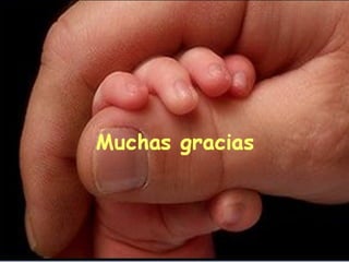 Curriculo y evaluacion segun los niveles educativos