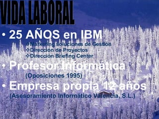VIDA LABORAL 25 AÑOS en IBM Marketing soluciones de Gestión Dirección de Proyectos Dirección Briefing Center Profesor Informática (Oposiciones 1995) Empresa propia 12 años (Asesoramiento Informático Valencia, S.L.) 