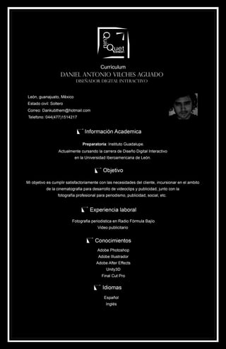 Curriculum Daniel VIlches