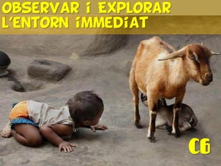 C6
observar i Explorar
l’entorn immediat
 
