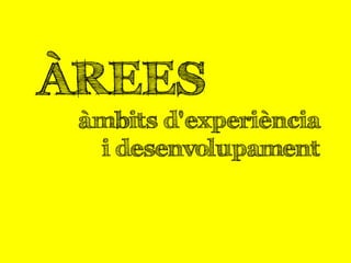 ÀREES
àmbits d'experiència
i desenvolupament
 