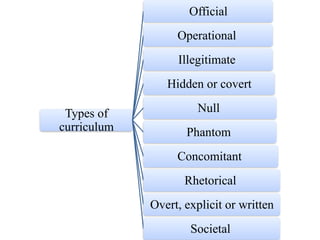 Comprehensive Curriculum Development in Nursing Education: Principles ...