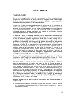CURRICULUM-PEBANA.pdf