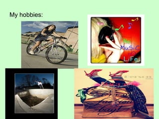 My hobbies: 