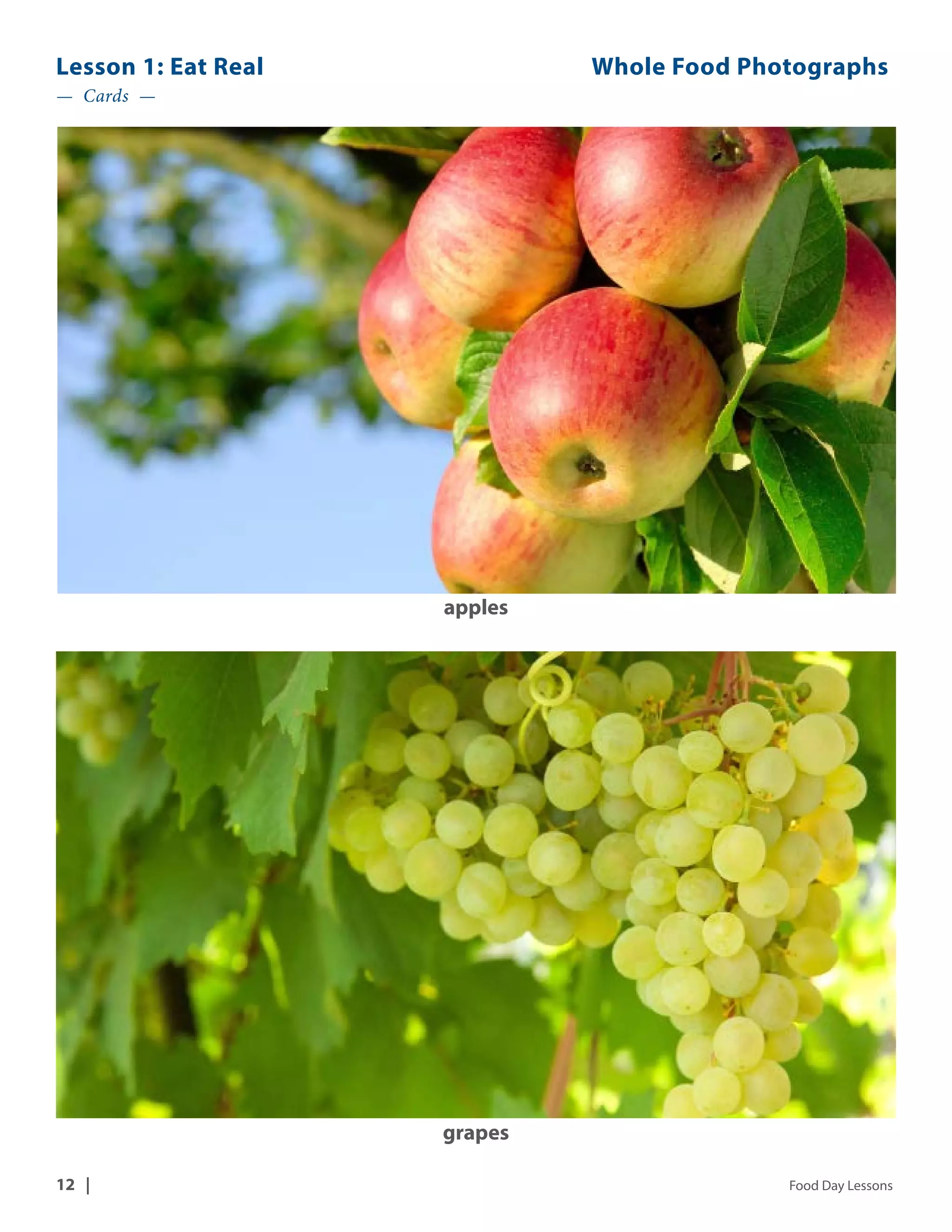 Lesson 1: Eat Real Whole Food Photographs 
— Cards — 
apples 
grapes 
12 | Food Day Lessons 
 
