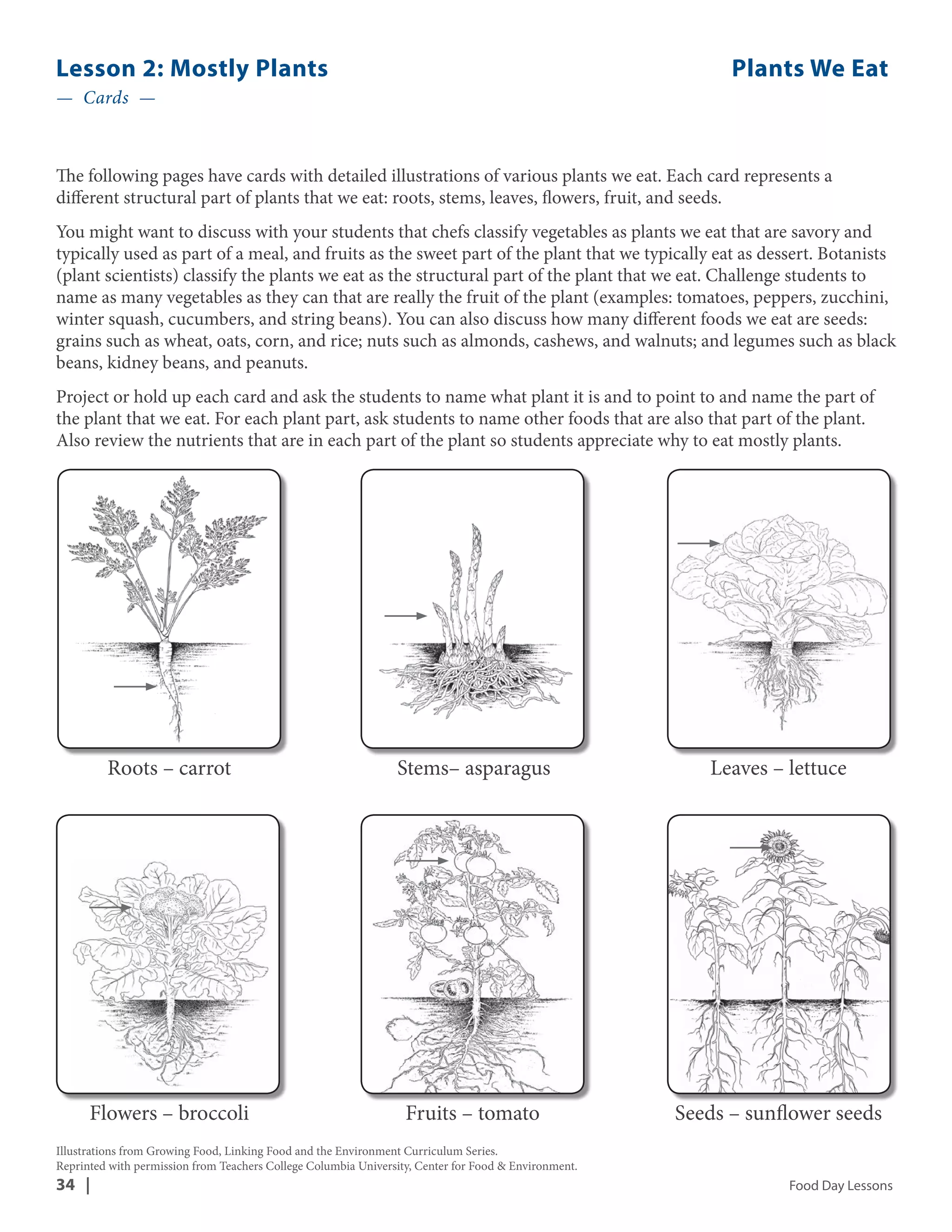 Lesson 2: Mostly Plants Plants We Eat 
— Cards — 
The following pages have cards with detailed illustrations of various plants we eat. Each card represents a 
different structural part of plants that we eat: roots, stems, leaves, flowers, fruit, and seeds. 
You might want to discuss with your students that chefs classify vegetables as plants we eat that are savory and 
typically used as part of a meal, and fruits as the sweet part of the plant that we typically eat as dessert. Botanists 
(plant scientists) classify the plants we eat as the structural part of the plant that we eat. Challenge students to 
name as many vegetables as they can that are really the fruit of the plant (examples: tomatoes, peppers, zucchini, 
winter squash, cucumbers, and string beans). You can also discuss how many different foods we eat are seeds: 
grains such as wheat, oats, corn, and rice; nuts such as almonds, cashews, and walnuts; and legumes such as black 
beans, kidney beans, and peanuts. 
Project or hold up each card and ask the students to name what plant it is and to point to and name the part of 
the plant that we eat. For each plant part, ask students to name other foods that are also that part of the plant. 
Also review the nutrients that are in each part of the plant so students appreciate why to eat mostly plants. 
Roots – carrot 
Stems– asparagus 
Fruits – tomato 
Flowers – broccoli 
Leaves – lettuce 
Seeds – sunflower seeds 
Illustrations from Growing Food, Linking Food and the Environment Curriculum Series. 
Reprinted with permission from Teachers College Columbia University, Center for Food & Environment. 
34 | Food Day Lessons 
 
