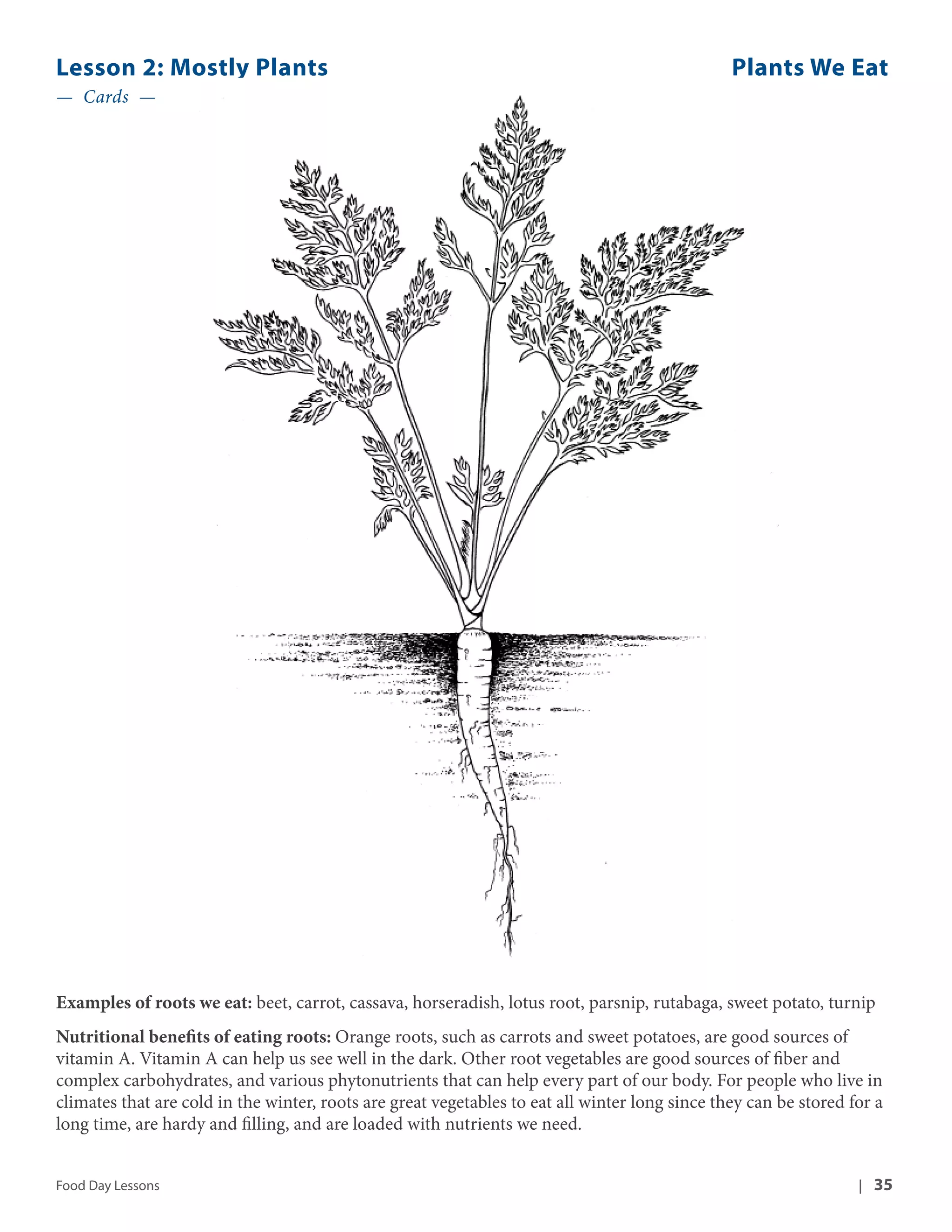 Lesson 2: Mostly Plants Plants We Eat 
— Cards — 
Examples of roots we eat: beet, carrot, cassava, horseradish, lotus root, parsnip, rutabaga, sweet potato, turnip 
Nutritional benefits of eating roots: Orange roots, such as carrots and sweet potatoes, are good sources of 
vitamin A. Vitamin A can help us see well in the dark. Other root vegetables are good sources of fiber and 
complex carbohydrates, and various phytonutrients that can help every part of our body. For people who live in 
climates that are cold in the winter, roots are great vegetables to eat all winter long since they can be stored for a 
long time, are hardy and filling, and are loaded with nutrients we need. 
Food Day Lessons | 35 
 