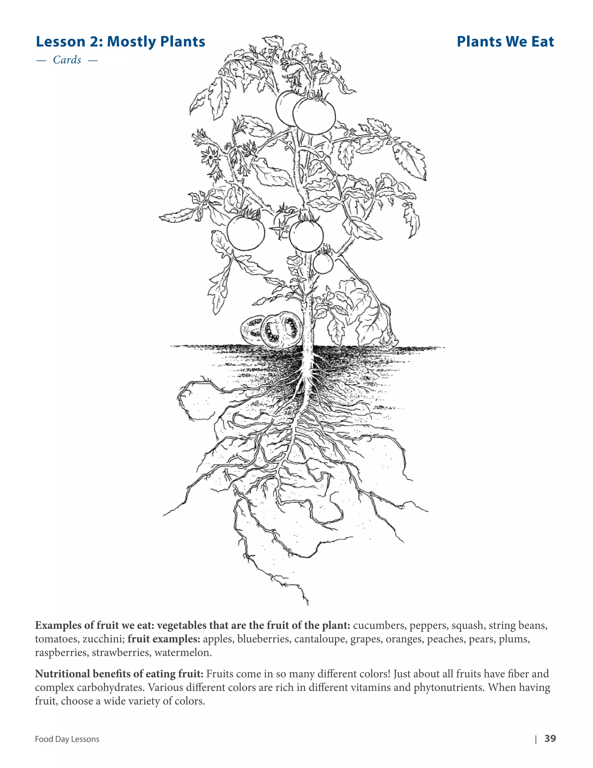 Lesson 2: Mostly Plants Plants We Eat 
— Cards — 
Examples of fruit we eat: vegetables that are the fruit of the plant: cucumbers, peppers, squash, string beans, 
tomatoes, zucchini; fruit examples: apples, blueberries, cantaloupe, grapes, oranges, peaches, pears, plums, 
raspberries, strawberries, watermelon. 
Nutritional benefits of eating fruit: Fruits come in so many different colors! Just about all fruits have fiber and 
complex carbohydrates. Various different colors are rich in different vitamins and phytonutrients. When having 
fruit, choose a wide variety of colors. 
Food Day Lessons | 39 
 