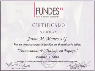 Curriculum Jaime Meneses