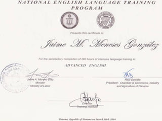 Curriculum Jaime Meneses