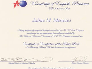 Curriculum Jaime Meneses