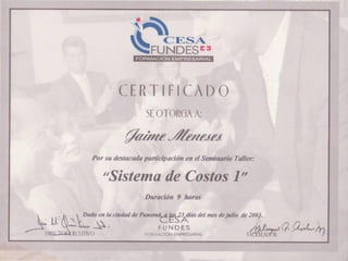 Curriculum Jaime Meneses