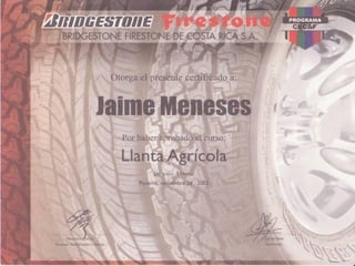 Curriculum Jaime Meneses