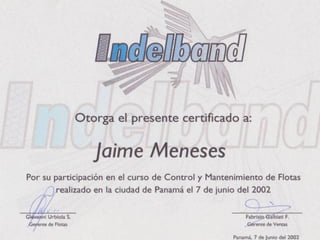 Curriculum Jaime Meneses