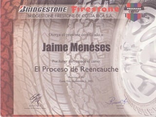 Curriculum Jaime Meneses