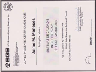 Curriculum Jaime Meneses