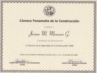 Curriculum Jaime Meneses