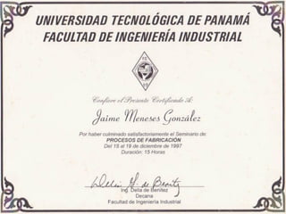 Curriculum Jaime Meneses