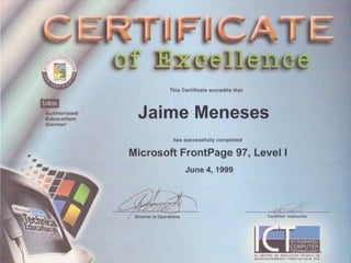 Curriculum Jaime Meneses