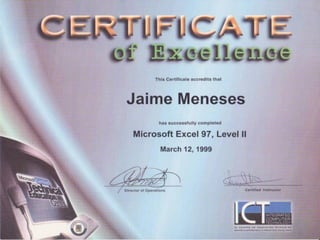 Curriculum Jaime Meneses