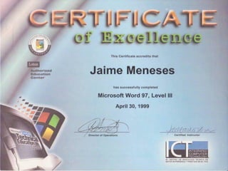 Curriculum Jaime Meneses