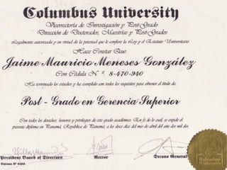Curriculum Jaime Meneses