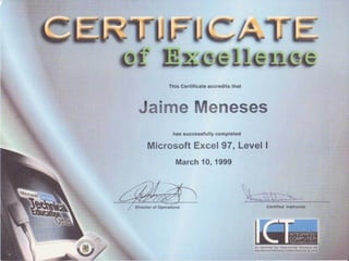 Curriculum Jaime Meneses