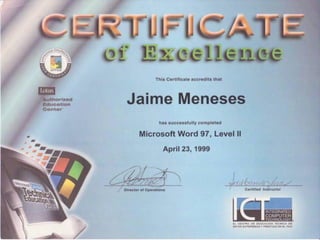 Curriculum Jaime Meneses