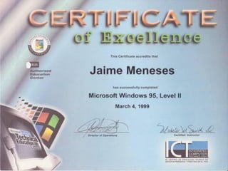 Curriculum Jaime Meneses