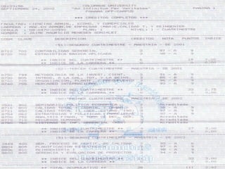 Curriculum Jaime Meneses