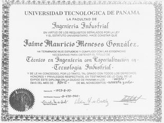 Curriculum Jaime Meneses