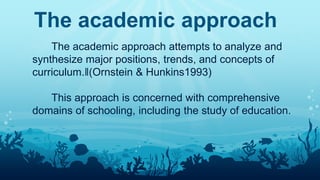 Curriculum approaches | PPTX