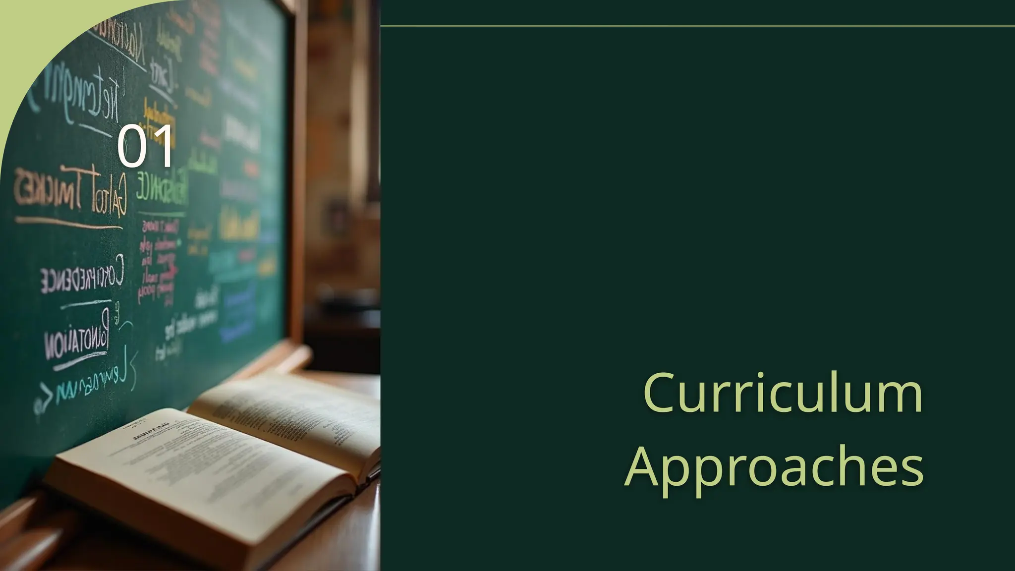Curriculum
Approaches
01
 