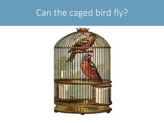 Can the caged bird fly?
 