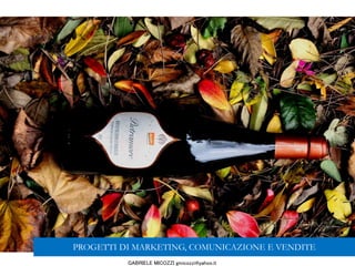 GABRIELE MICOZZI gmicozzi@yahoo.it
PROGETTI DI MARKETING, COMUNICAZIONE E VENDITE
 