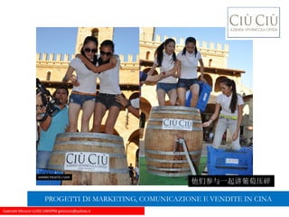 Gabriele Micozzi LUISS UNIVPM gmicozzi@yahoo.it
HANNO PIGIATO L’UVA
他们参与一起讲葡萄压碎
PROGETTI DI MARKETING, COMUNICAZIONE E VENDITE IN CINA
 